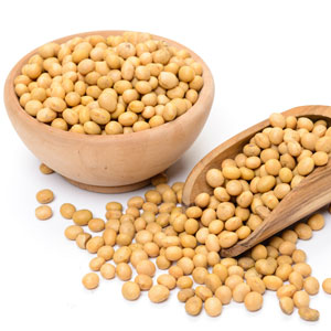 Soybean