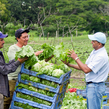 TMT Green Farmer’s Cooperative